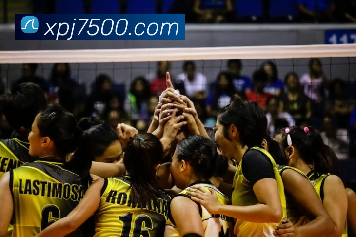 新葡京娱乐服务体系